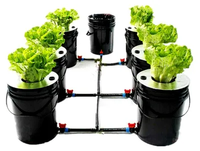 Produktbild von Tiefwasserkultur Komplettset für hydroponischen Anbau mit 6 Eimern (20L)