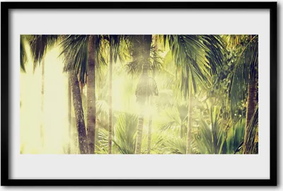Produktbild von Bild 60x40 MDF-Rahmen Wandkunst Palme Wald Natur