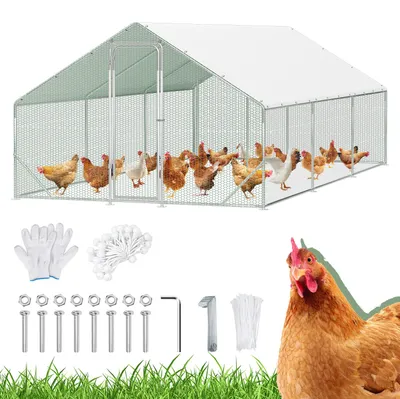 Image de Voliaire pour poules Peviasot, dimensions 3 x 6 x 2 mètres, surface de 18 m², toit en pente, tubes galvanisés de 25 mm, clôture en fil de fer PVC vert et bâche de protection en polyéthylène blanc avec protection UV