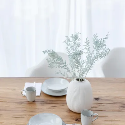 Produktbild von Ruscus konserviert Mäusedorn Trockenblumen 1 5 Stiele (60 75cm) Konservierte