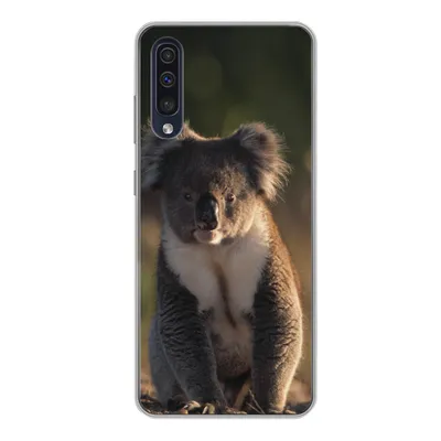 Produktbild von MuchoWow® Handyhülle Schutzhülle Hülle für Samsung Galaxy A50 Koala - Sonne - Tier - Kinder - Jungen - Mädchen Silikon Softcase Handy Hülle - Mobiltelefonhülle