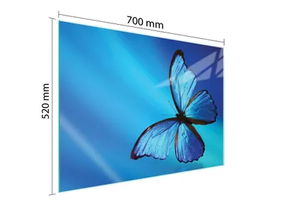 Produktbild von Glasschutzplatte Für Herd 70X52 Butterfly