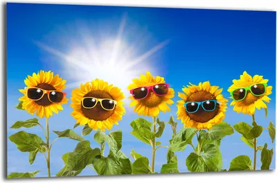 Produktbild von Herdabdeckplatte Glaskeramikkochfeld-Abdeckung Spritzschutz Glas 80x52 Blumen