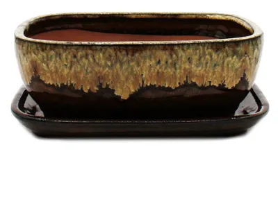 Immagine prodotto di vaso per bonsai con sottovaso, misura 4 - color marrone-beige - rettangolare - modello GB5 - lunghezza 26 cm - larghezza 20 cm - altezza 9 cm