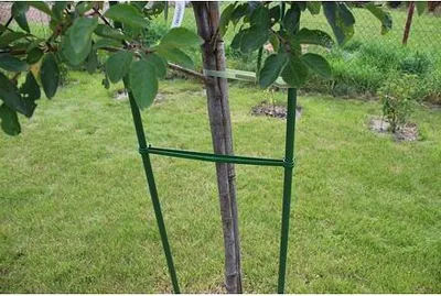 Immagine prodotto di Accoppiamento Merco per aste da giardino diametro 11 mm
