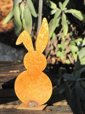 Immagine prodotto di Coniglio da dietro in acciaio inox Coniglio da dietro - 20 cm
