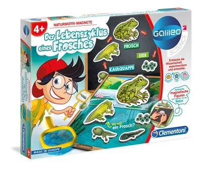 Produktbild von Galileo Der Lebenszyklus eines Frosches