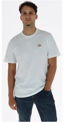 Productafbeelding van Dickies T-shirt Heren Wit - DK0A4XDB - Maat S
