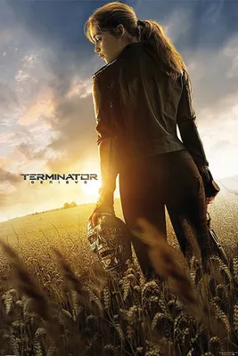 Obrázek produktu pro Terminator Genisys Plakát Teaser 61 x 91,5 cm