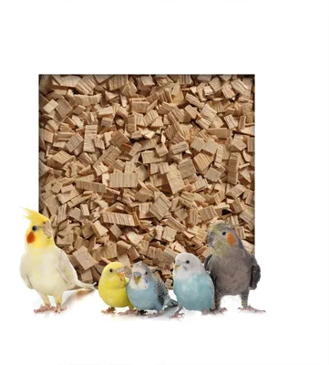 Produktbild von 10 kg Buchenholzgranulat Vogelsand Bodengrund Terrariensand Einstreu Terrariumsand Tiereinstreu Grob 3,0 - 10 mm