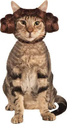 Produktbild von Star Wars Prinzessin Leia Haarreif