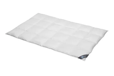 Produktbild von Daunendecke 200x200 cm 60 % Daunen Warme  Bettdecke Steppdecke Daunen SPESSARTTRAUM BLUE