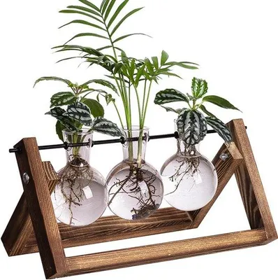 Produktbild von Hydrokultur-Set aus Glas und Holz für Schlafzimmer, Wohnzimmer und Büro (3 Stück)