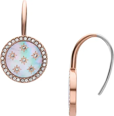 Produktbild von Fossil JF04938791 Damen Ohrstecker Edelstahl Rose Grau