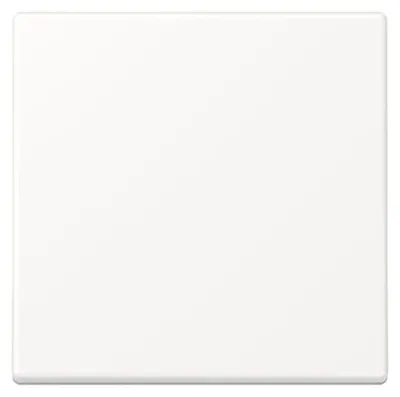 Image de Jung Bascule pour interrupteur/bouton-poussoir A590WWM (A590WWM)