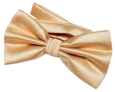 Produktbild von DonDon Herren Fliege 12 x 6 cm gebunden mit Hakenverschluss und größenverstellbar für besondere Anlässe gold