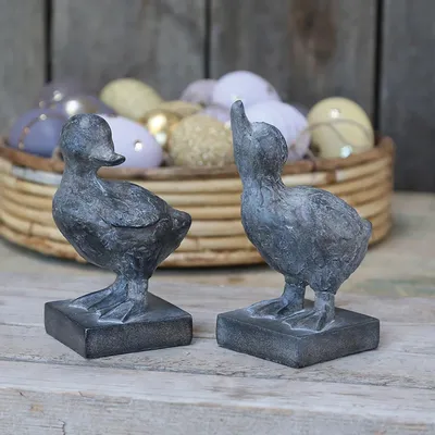 Image de Deux petits canetons