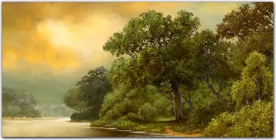 Produktbild von Coloray Bild aus Leinwand 140x70 Leinwand Dekoration - Wald Fluss Himmel