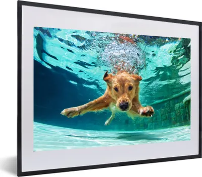 Produktbild von MuchoWow® MuchoWow® Gerahmtes Poster Pool - Hund - Wasser 60x40 cm - Poster mit zchwarzem Bilderrahmen - Schlafzimmer - Plakat in Rahmen - Drucken