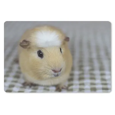Produktbild von MuchoWow® Mauspad Mousepad Kleines Meerschweinchen 27x18 cm - Mousepads - Maus Mat - Pad - Mausunterlage - Büroartikel - Desk Matten