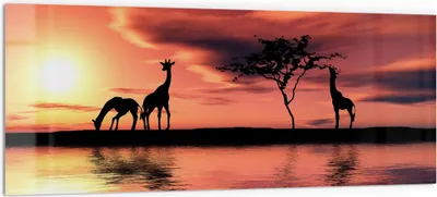 Produktbild von DEQORI Küchenrückwand Glas 125x50 cm 'Sonnenuntergangssafari' Spritzschutz Bad Rückwand Küche