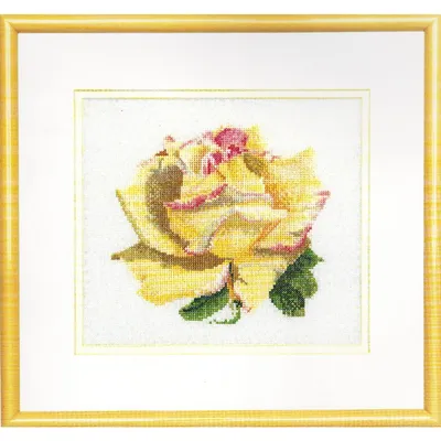 Imagen del producto de Kit de bordado "Rose B Aida" de Thea Gouverneur, 17x15 cm