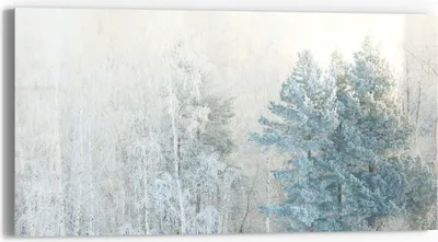 Produktbild von DEQORI Glasbild Echtglas 60x30 cm 'Frostige Stille' Wandbild Bild modern Deko