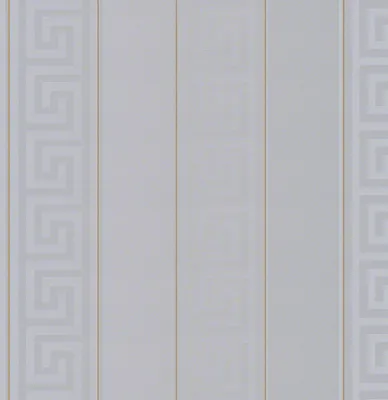 Produktbild von A.S. Creation Versace | 935245 | Vliestapete Muster & Motive | 0.70 m x 10.05 m | Silber