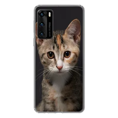 Produktbild von MuchoWow® Handyhülle Schutzhülle Hülle für Huawei P40 Katze - Schwarz - Porträt Silikon Softcase Handy Hülle - Handytasche