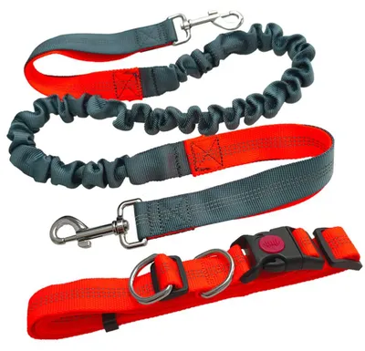 Produktbild von Hundeleine mit verstellbarem Hüftgurt - reflektierende Bungee-Leine - F2062