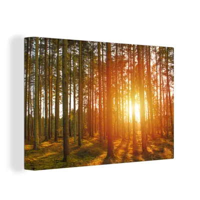 Obrázek produktu pro OneMillionCanvasses® Malba na plátně Nástěnná malba na plátně - Podzim - Les - Slunce - 150x100cm