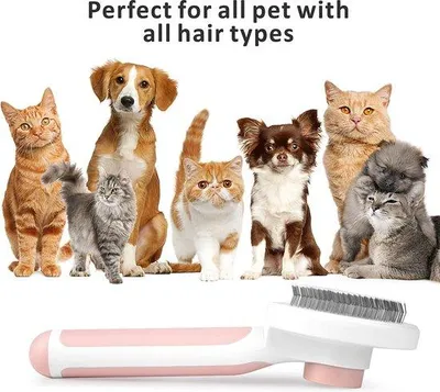 Produktbild von Famanu Haustierbürste 2-in-1 für Hunde, Katzen und Pferde - ergonomisch und leicht