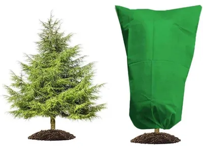 Productafbeelding van Winterbeschermhoes voor planten, 80 x 100 cm, groen
