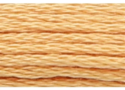 Immagine prodotto di Filo da ricamo Anchor, torsione 8, colore ocra chiaro, cotone, codice colore 891, 6 capi