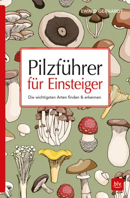 Image de Pilzführer für Einsteiger
