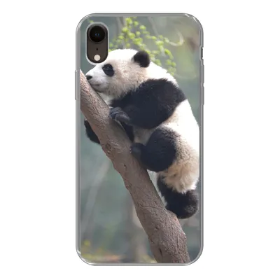 Produktbild von MuchoWow® Handyhülle Schutzhülle Hülle für iPhone XR Panda - Tier - Baum Silikon Softcase Handy Hülle - Schutzdeckel