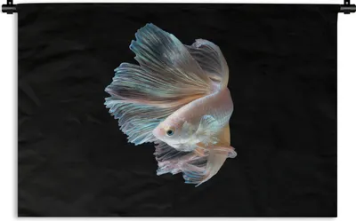 Produktbild von MuchoWow® Wandteppich Wandbehang Fisch - Schwanz - Schwarz 60x40 cm Tapisserie Dekoration Wandtuch - Wanddekorationen