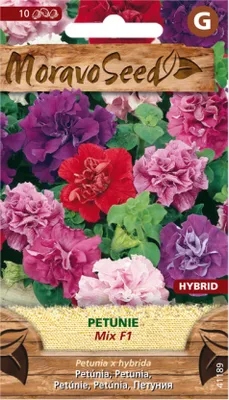 Zdjęcie produktu dla Petunia BONANZA F1 - hybryda, mieszanka 41189