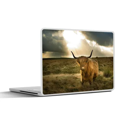 Produktbild von MuchoWow® Laptop Aufkleber Sticker Cover Schottischer Hochländer - Sonne - Tiere 30x22 cm - Laptop-Sticker