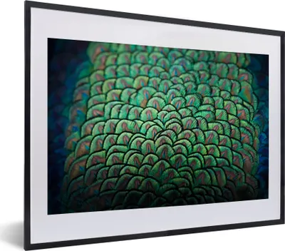 Produktbild von MuchoWow® MuchoWow® Gerahmtes Poster Pfau - Federn - Muster 40x30 cm - Poster mit zchwarzem Bilderrahmen - Bilderrahmen - Poster im Rahmen