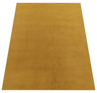 Produktbild von Paco Home Waschbarer Teppich Wohnzimmer Kurzflor Einfarbiger Moderner Stil Weich 240x340 cm