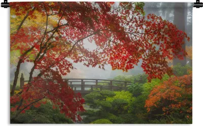 Produktbild von MuchoWow® Wandteppich Wandbehang Japanischer Ahorn - Bäume - Brücke - Natur - Japanisch 150x100 cm Tapisserie Dekoration Wandtuch - Waschbar - Tapisserien - Wand-Decke