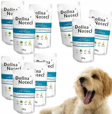 Produktbild von Dolina Noteci Premium-Forellen-Paket Set 10X 150G