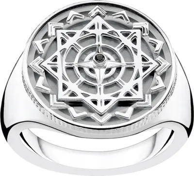 Obrázek produktu pro Thomas Sabo D_TR0041-714-11-54