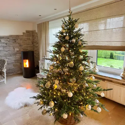 Productafbeelding van Salcar Kunstkerstboom, 180 cm, Nordmannspar, spuitgietkunstboom, inclusief metalen takken en 1884 punten