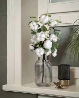 Produktbild von Trockenblume Echter Baumwollzweig, Farbe grün, 3 Stiele, 10 Köpfe, 53 cm Länge, Baumwolle Zweig, Trockenblumen, Pampasgras Deko Baumwollzweig