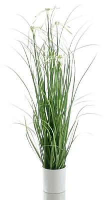 Produktbild von GASPER Sternsegge Weiß im weißen Melamintopf ca. 82 cm - Kunstpflanzen