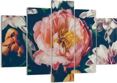 Produktbild von Bild auf Leinwand - Leinwandbild - 5 Teile - Blumen Pfingstrose Holzig - 150x100cm - Wand Bild - Wanddeko - Wandbilder - Leinwanddruck - Bilder - Wanddekoration - Leinwand bilder - EA150x100-4661
