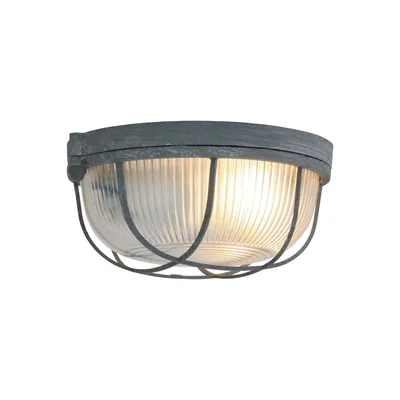 Obrázok produktu pre Mexlite - stropné svietidlo - Lisanne - sivá - sklo kov - Ø 17cm - E27 - 1342GR