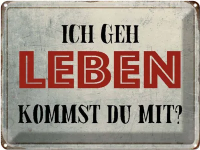 Produktbild von vianmo Blechschild 30x40 cm geh leben kommst du mit Retro Spruch Zitat
